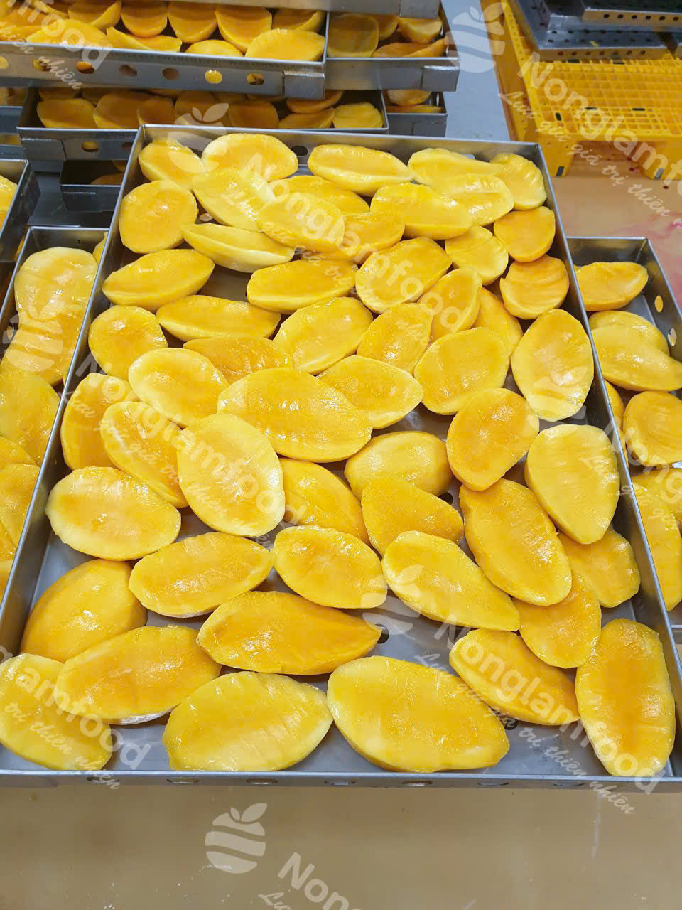 Nonglamfood 软芒果干生产