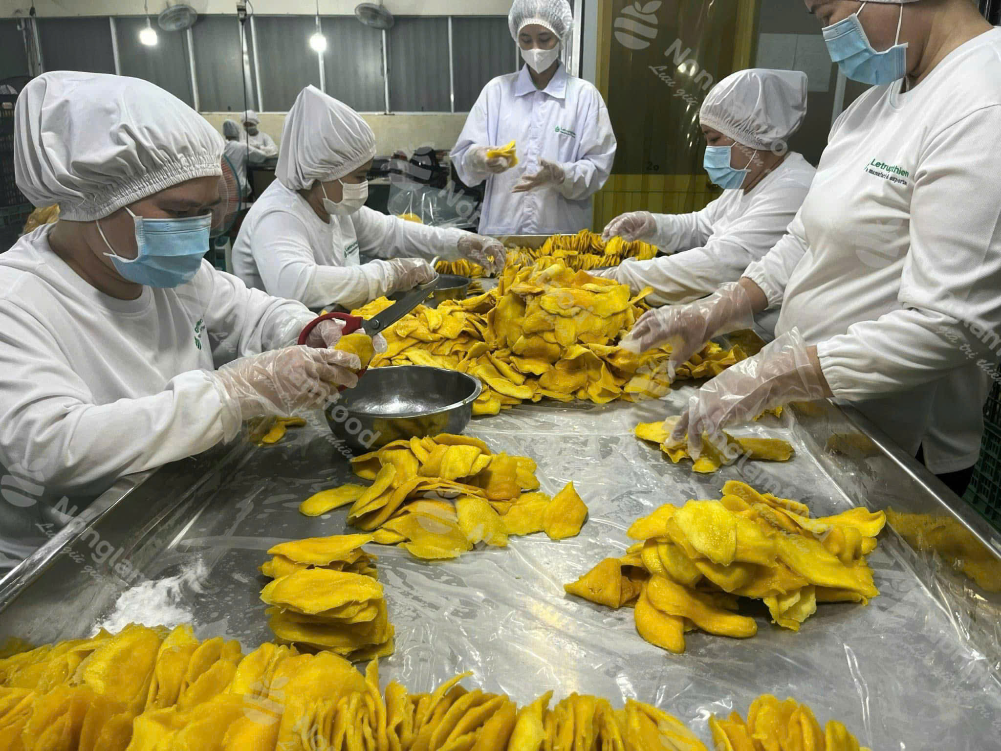 Nonglamfood 软芒果干分拣